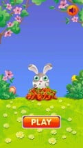 Rabbit Tap Hop Image