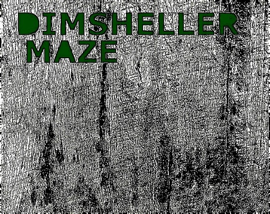 Dimsheller Maze Game Cover