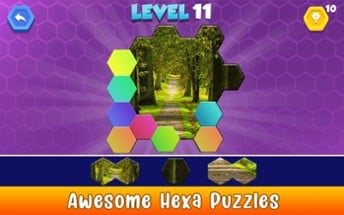 Jigsaw Hexa Puzzle Art Image