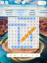 Word Search - Puzzle Finder Image