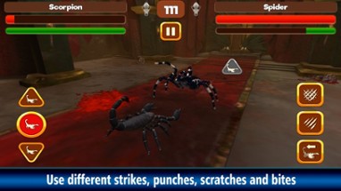 Scorpion Fight: Insect Battle Image