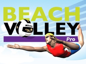 Beach Volley Pro Image