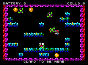 Tiny Peter (ZX Spectrum Next) Image