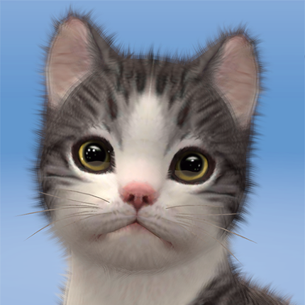 Kitten: Cat Game Simulator Game Cover
