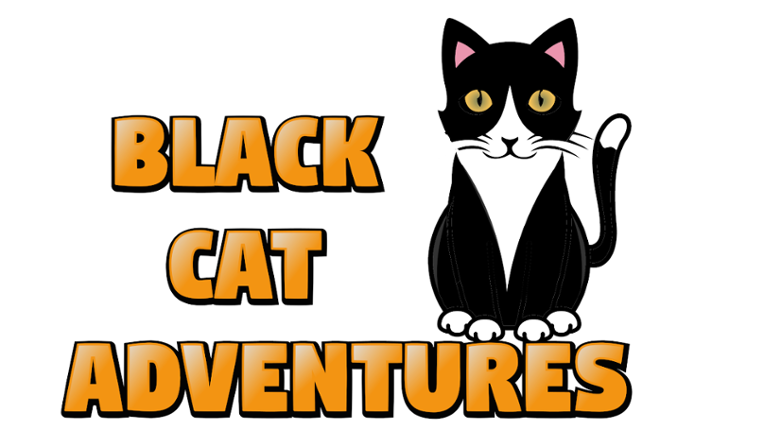Black Cat Adventures v.2 Game Cover