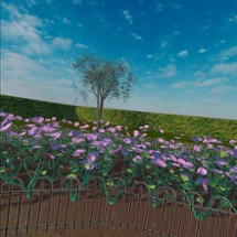 VR Garden Image