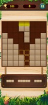 Wood Classic Block Puzzle Game Image