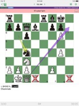 Chess Strategy &amp; Tactics Vol 1 Image