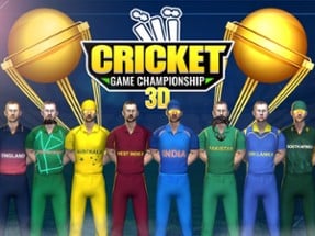 Cricket Game Championship 3D Image