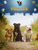 Dogs Jigsaw Puzzle Game free Image