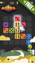 Dominoes Block Puzzle Image