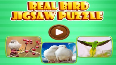 Love Bird Jigsaw Puzzle paradise : Train The Brain Image