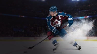 NHL 24 Image