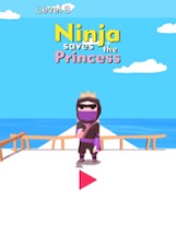 Ninja Saves The Princess Image