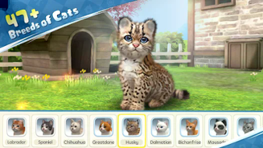 Kitten: Cat Game Simulator Image