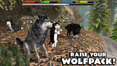 Ultimate Wolf Simulator Image