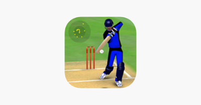 Smashing Cricket: cricket game Image