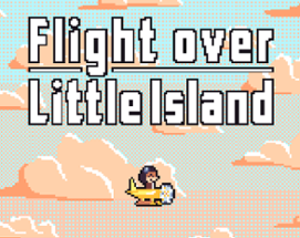 Flight over Little Island Image