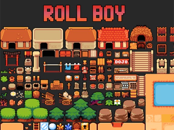 Roll Boy Game Cover