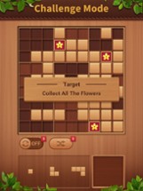 Wood Block Puzzle Sudoku Image