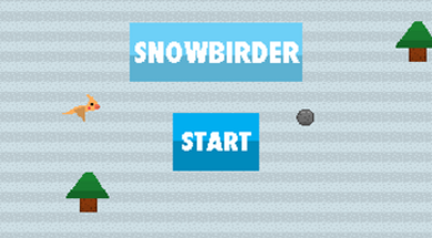 Snowbirder Image