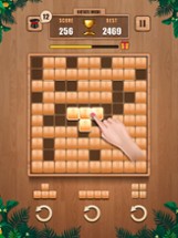 Wooden 100 Block Puzzle Game Image