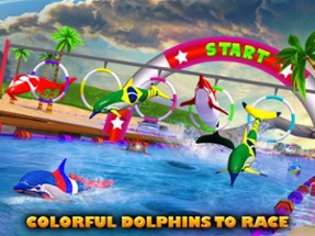 Dolphin Racing 3D Image