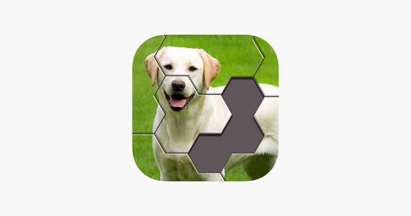 Hexa Jigsaw Puzzle ® Game Cover