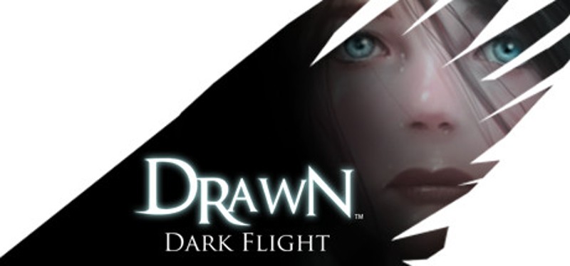 Drawn: Dark Flight Game Cover