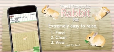 Virtual Therapeutic Rabbit Pet Image