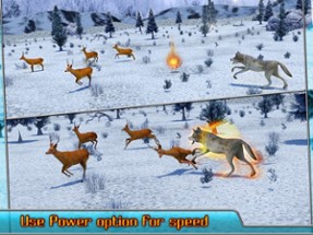 Angry Wolf Simulator 3D Image