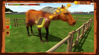 Horse Show Jumping Challenge Image