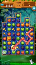 Fruits Legend - Match 3 Splash Game Image