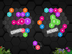 Merge Hexa - Number Puzzle Image