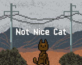 Not Nice Cat Image