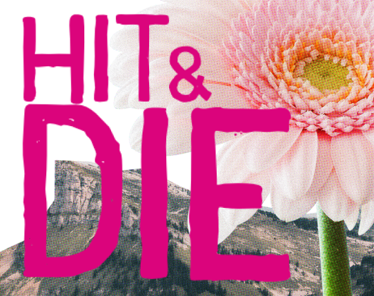 HIT & DIE Game Cover