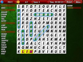 Top WordSearch Image