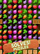 Fruit Splash - Juice Puzzle Image