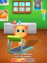 Talking Cat Tommy: Virtual Pet Image