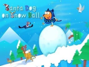 Dog on Snow Ball Image