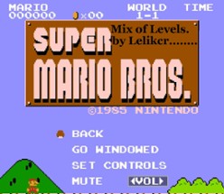 Mix of Levels Mario adventures.... Image