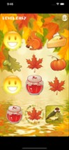 Autumn Sequence Image