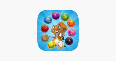 Squirrel Pop Bubble Shooter Fruit Saga : Match 3 Hd Free Game Image