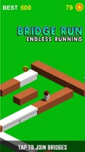 Bridge Run – Endless Running Image
