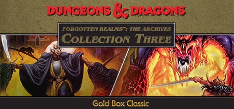 Forgotten Realms: The Archives - Collection Three Game Cover