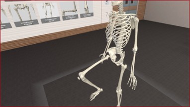 3D Organon VR Anatomy 2018 Image