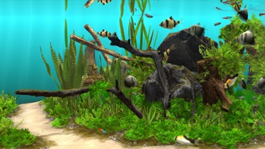 Behind Glass: Aquarium Simulator Image