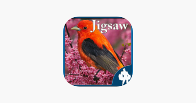 Birds Jigsaw Puzzles - Titan Image