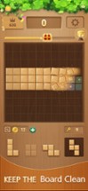 Block puzzle Casual game woody Image