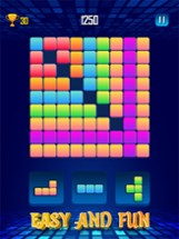 Blok: Classic Block Puzzle 100 Image